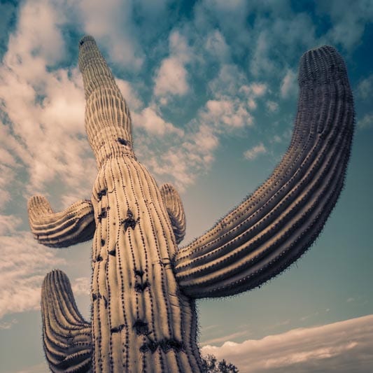 Unique Places to Visit and Points of Interest in Scottsdale Arizona